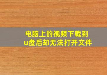 电脑上的视频下载到u盘后却无法打开文件