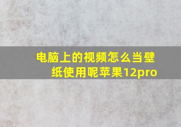 电脑上的视频怎么当壁纸使用呢苹果12pro