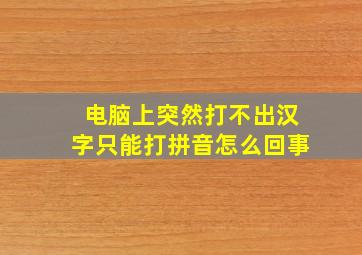 电脑上突然打不出汉字只能打拼音怎么回事