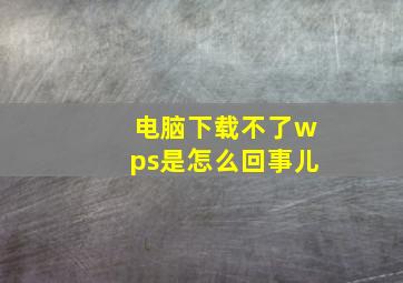 电脑下载不了wps是怎么回事儿