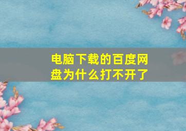 电脑下载的百度网盘为什么打不开了