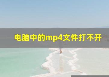 电脑中的mp4文件打不开