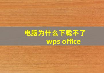 电脑为什么下载不了wps office