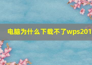 电脑为什么下载不了wps2010