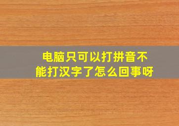 电脑只可以打拼音不能打汉字了怎么回事呀