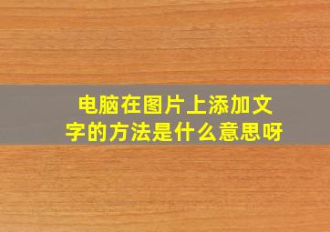 电脑在图片上添加文字的方法是什么意思呀