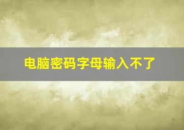 电脑密码字母输入不了