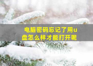 电脑密码忘记了用u盘怎么样才能打开呢