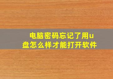 电脑密码忘记了用u盘怎么样才能打开软件