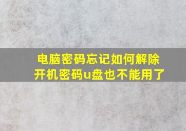 电脑密码忘记如何解除开机密码u盘也不能用了