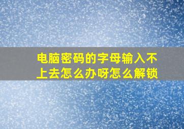 电脑密码的字母输入不上去怎么办呀怎么解锁