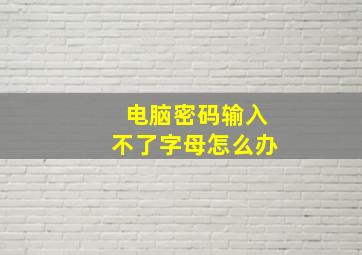 电脑密码输入不了字母怎么办