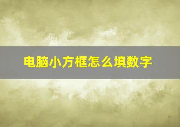 电脑小方框怎么填数字