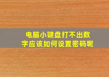 电脑小键盘打不出数字应该如何设置密码呢