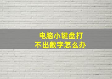 电脑小键盘打不出数字怎么办