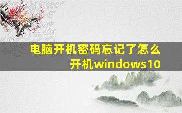 电脑开机密码忘记了怎么开机windows10