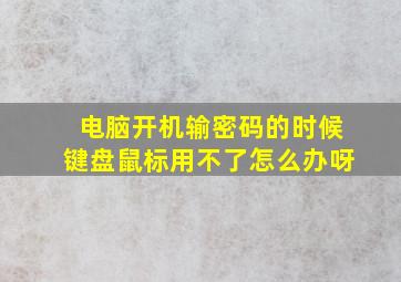 电脑开机输密码的时候键盘鼠标用不了怎么办呀