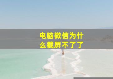 电脑微信为什么截屏不了了