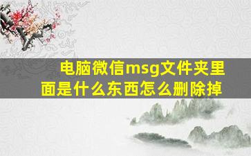 电脑微信msg文件夹里面是什么东西怎么删除掉