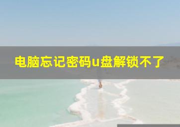 电脑忘记密码u盘解锁不了