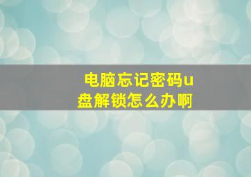 电脑忘记密码u盘解锁怎么办啊