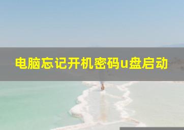 电脑忘记开机密码u盘启动