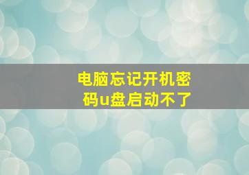 电脑忘记开机密码u盘启动不了