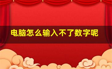 电脑怎么输入不了数字呢