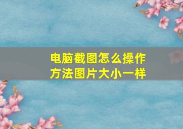 电脑截图怎么操作方法图片大小一样