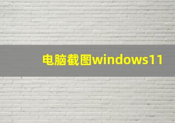 电脑截图windows11