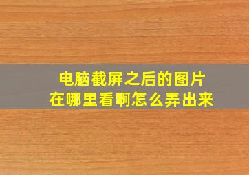 电脑截屏之后的图片在哪里看啊怎么弄出来