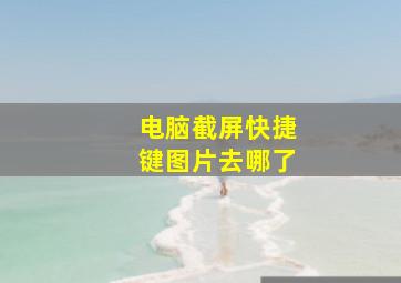 电脑截屏快捷键图片去哪了