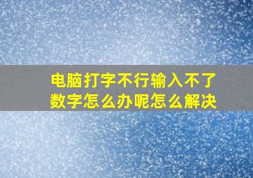 电脑打字不行输入不了数字怎么办呢怎么解决