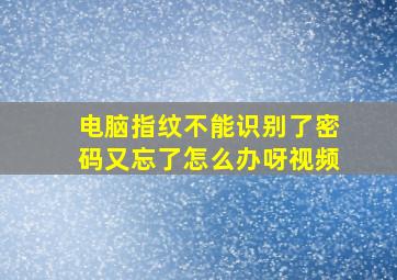 电脑指纹不能识别了密码又忘了怎么办呀视频