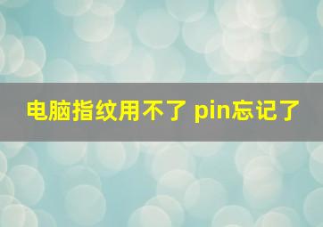 电脑指纹用不了 pin忘记了