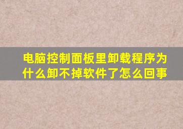 电脑控制面板里卸载程序为什么卸不掉软件了怎么回事