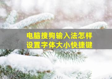 电脑搜狗输入法怎样设置字体大小快捷键