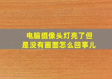 电脑摄像头灯亮了但是没有画面怎么回事儿