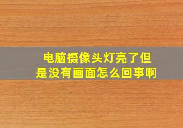 电脑摄像头灯亮了但是没有画面怎么回事啊