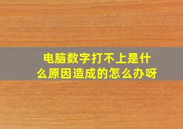 电脑数字打不上是什么原因造成的怎么办呀