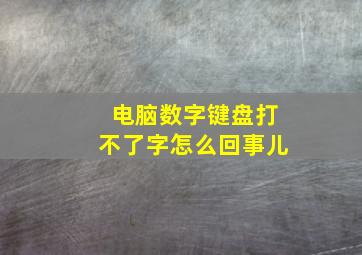 电脑数字键盘打不了字怎么回事儿