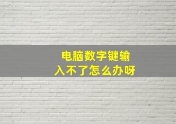 电脑数字键输入不了怎么办呀