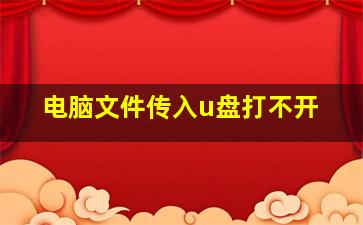 电脑文件传入u盘打不开