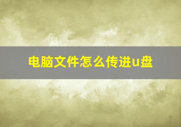 电脑文件怎么传进u盘