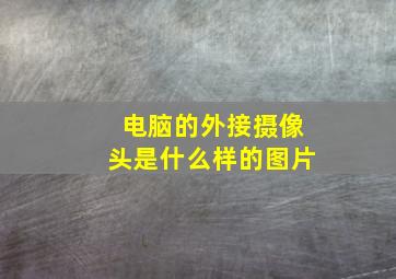 电脑的外接摄像头是什么样的图片