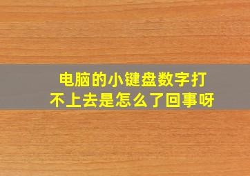 电脑的小键盘数字打不上去是怎么了回事呀