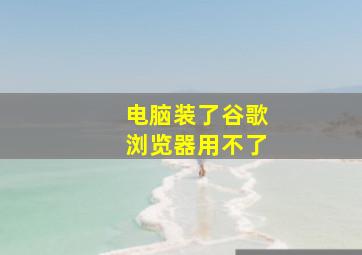 电脑装了谷歌浏览器用不了