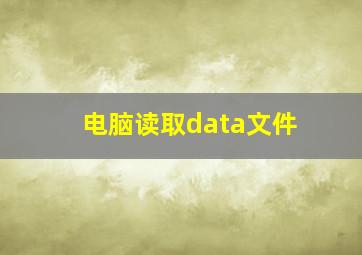 电脑读取data文件