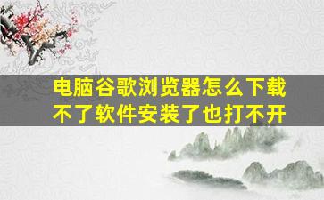 电脑谷歌浏览器怎么下载不了软件安装了也打不开