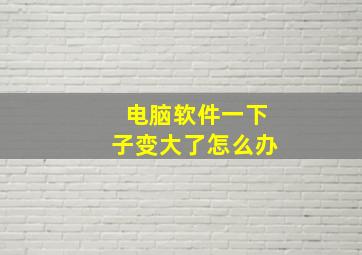 电脑软件一下子变大了怎么办